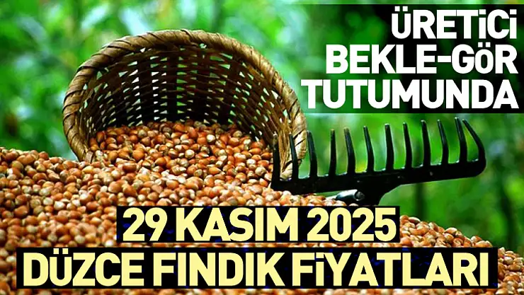 29 Kasım 2025 Düzce Fındık Fiyatları | Üretici Bekle-Gör Tutumunda