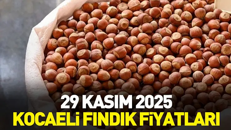 29 Kasım 2025 Kocaeli Fındık Fiyatları | Sakin Piyasada Kalite Yarışı Kızıştı