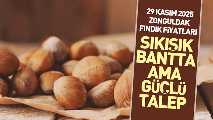 29 Kasım 2025 Zonguldak Fındık Fiyatları | Sıkışık Bantta Ama Güçlü Talep