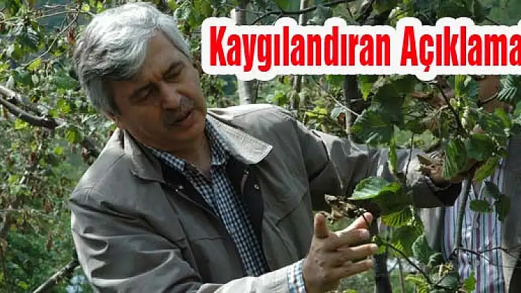 'Fındığın gelecek 3 yılı endişe verici'