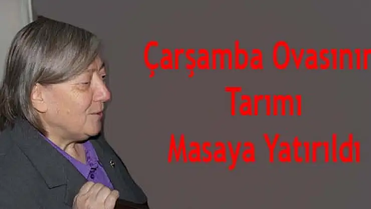 Çarşamba Ovasının tarımı masaya yatırıldı