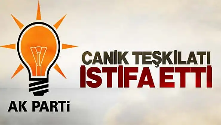 Samsun Canik Ak Parti İlçe Teşkilatı İstifa Etti