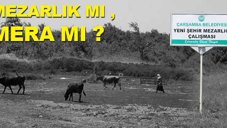 Mezarlık mı, Mera mı?