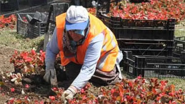 Samsun'da Çiçeklendirme Çalışması