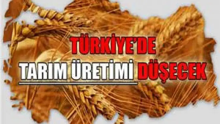 Türkiye'de tarım üretimi düşecek