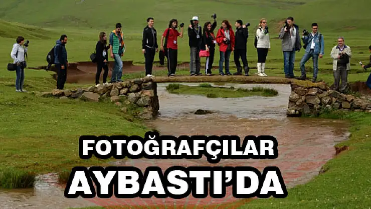  FOTOĞRAF AVCILARI AYBASTI'DA IŞIĞI ARADI