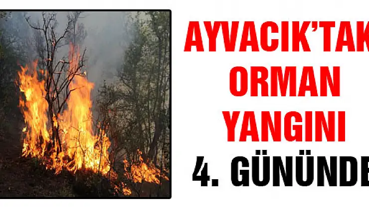AYVACIK'TAKİ ORMAN YANGINI 4. GÜNÜNDE