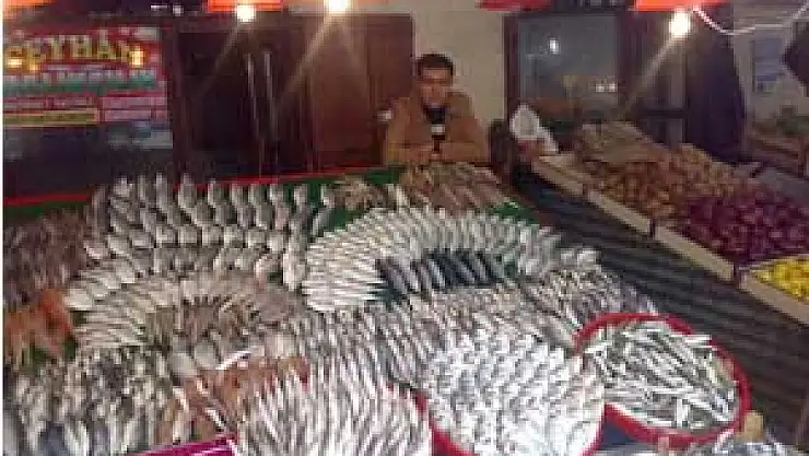 Balıkçılıktaki potansiyel iyi değerlendirilmeli