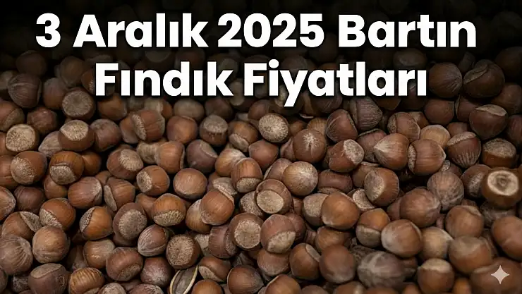 3 Aralık 2025 Bartın Fındık Fiyatları | Amasra'da Yoğun Talep: 318 TL Seviyesi Konuşuluyor