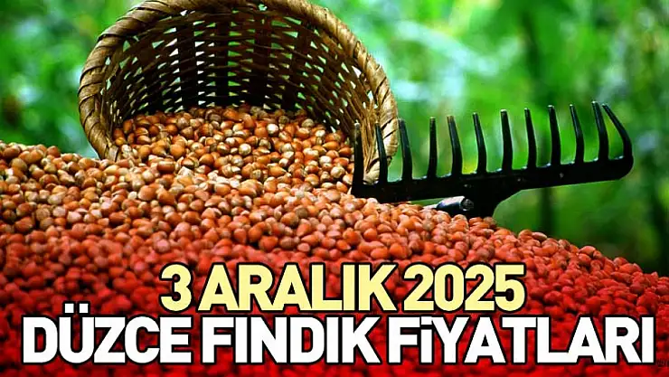 3 Aralık 2025 Düzce Fındık Fiyatları