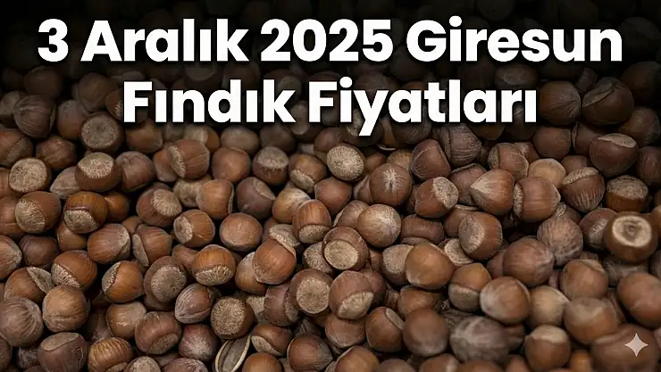 3 Aralık 2025 Giresun Fındık Fiyatları | Premium Rekabet Zirvede! 343 TL Gündemde