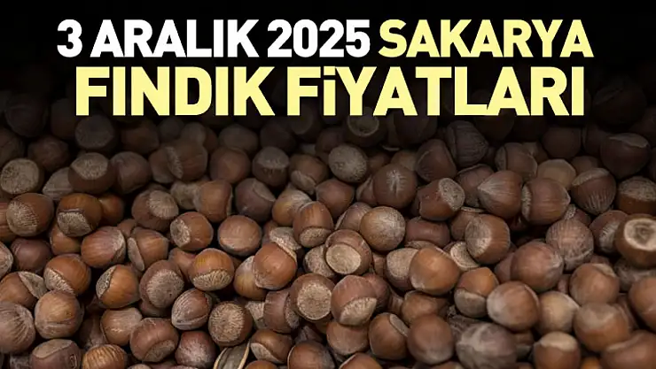 3 Aralık 2025 Sakarya Fındık Fiyatları | Karasu ve Kaynarca'da Rekabet Yeniden Alevlendi