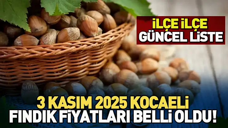 3 Kasım 2025 Kocaeli Fındık Fiyatları Belli Oldu! İlçe İlçe Güncel Liste