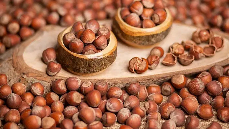 3 Kasım 2025 Ordu Fındık Fiyatları