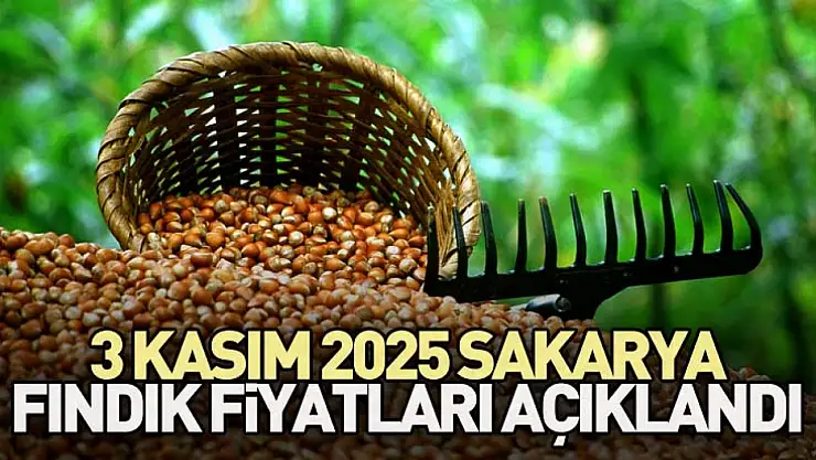 3 Kasım 2025 Sakarya Fındık Fiyatları Açıklandı