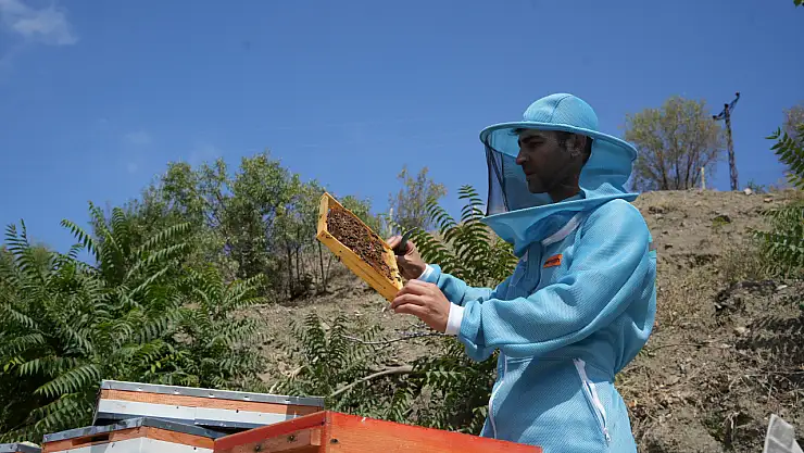 3 kuşaktır süren arıcılık