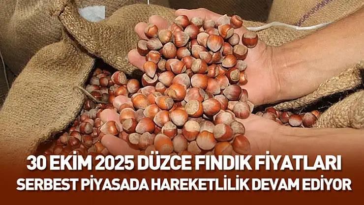 30 Ekim 2025 Düzce Fındık Fiyatları: Serbest Piyasada Hareketlilik Devam Ediyor