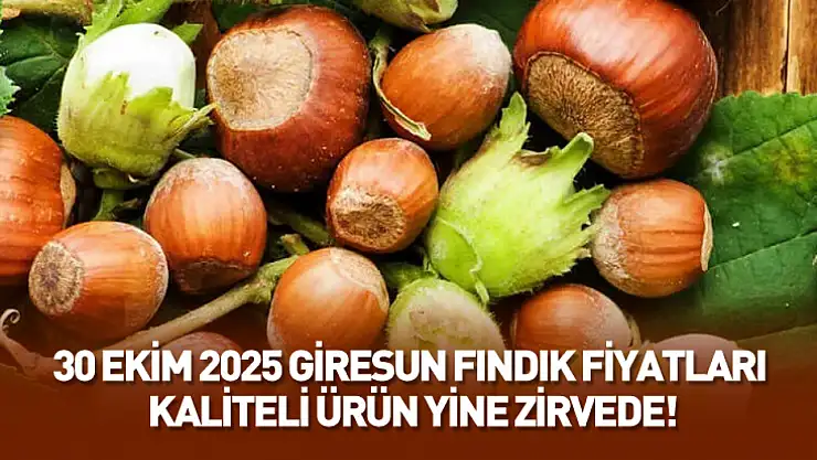 30 Ekim 2025 Giresun Fındık Fiyatları: Kaliteli Ürün Yine Zirvede!