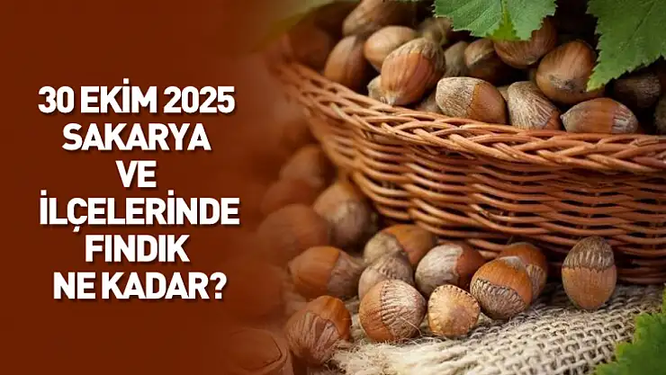 30 Ekim 2025 Sakarya Fındık Fiyatları: Piyasalar Güçlü Seyrediyor, Üretici Memnun