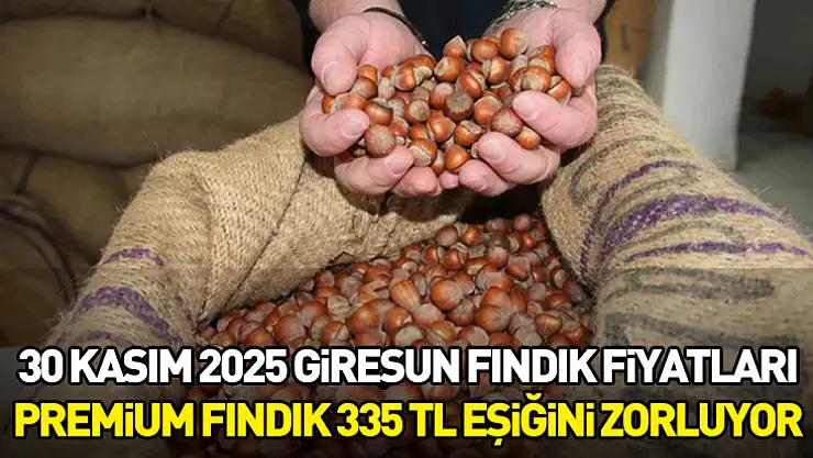 30 Kasım 2025 Giresun Fındık Fiyatları | Premium Fındık 335 TL Eşiğini Zorluyor