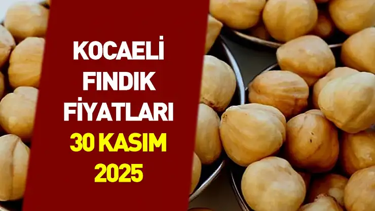 30 Kasım 2025 Kocaeli Fındık Fiyatları | Sakin Görünen Piyasada Kalite Yarışı Büyüyor