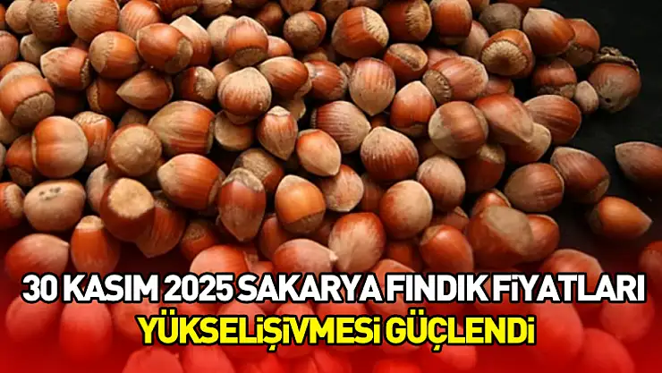 30 Kasım 2025 Sakarya Fındık Fiyatları | Yükseliş İvmesi Güçlendi