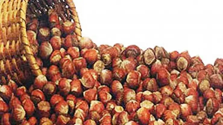 Oltan Gıda, İtalyan Ferrero Tarafından Satın Alındı