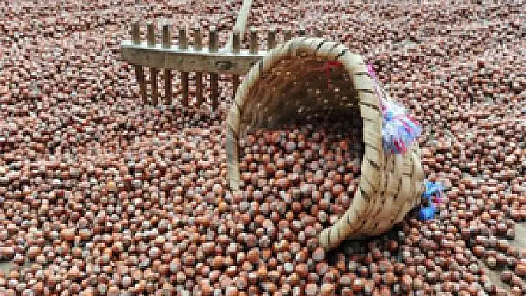 İhracatın Yarısı Yabancılara Geçti