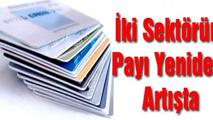 İki Sektörün Payı Yeniden Artışta
