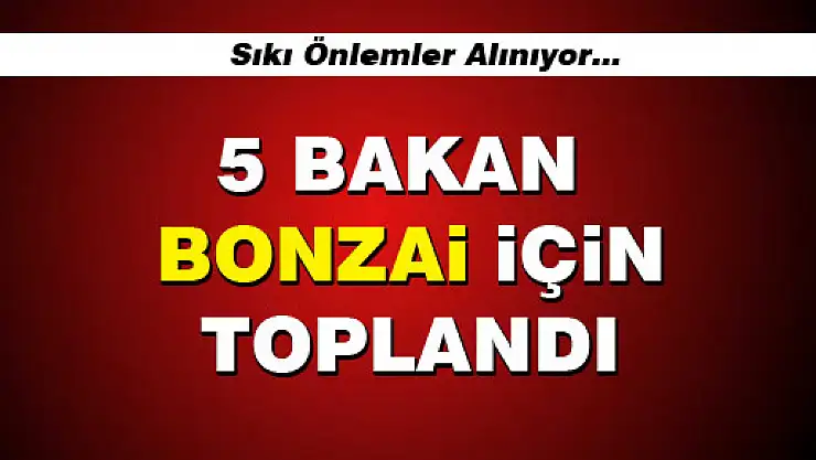 BEŞ BAKAN BONZAİ TOPLANTISI YAPTI