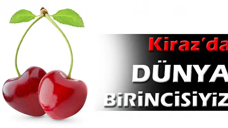 Türkiye kiraz üretiminde dünya lideri