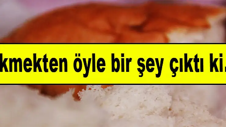Ekmekten öyle bir şey çıktı ki...