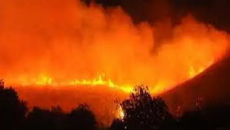 Sinop Valiliği Orman Yangınları İçin Uyardı