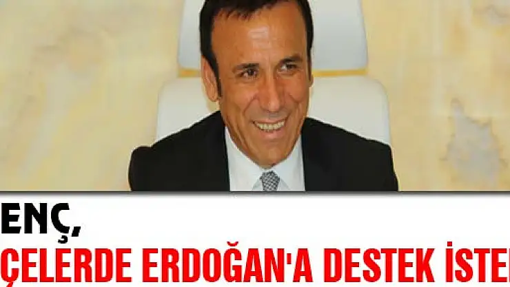 GENÇ, İLÇELERDE ERDOĞAN'A DESTEK İSTEDİ