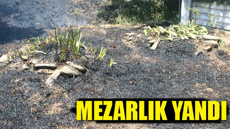 MEZARLIK YANGINI