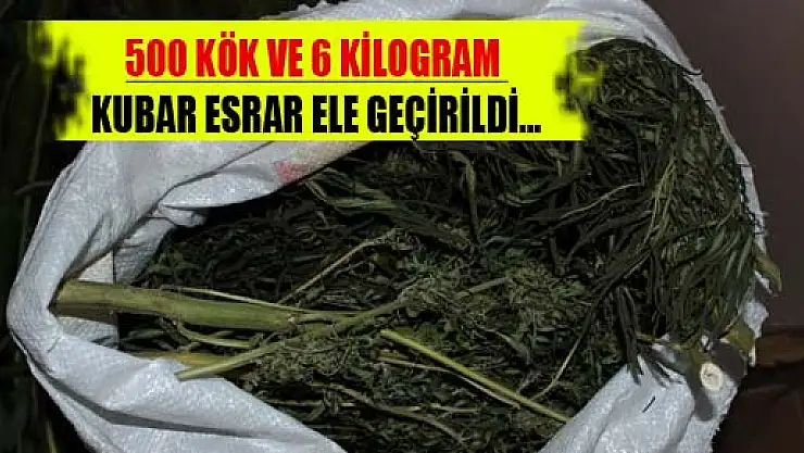 JANDARMADAN OPERASYON: 500 KÖK VE 6 KİLOGRAM KUBAR ESRAR ELE GEÇİRİLDİ...