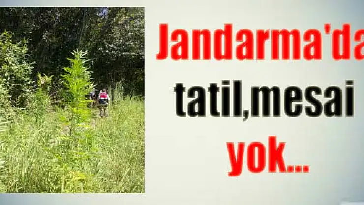 Jandarma'da tatil, mesai yok...