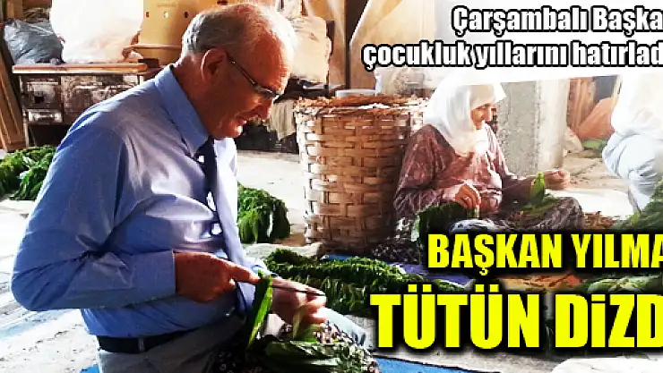 BAŞKAN YILMAZ ÇOCUKLUK YILLARINA DÖNDÜ, TÜTÜN KIRDI, TÜTÜN DİZDİ