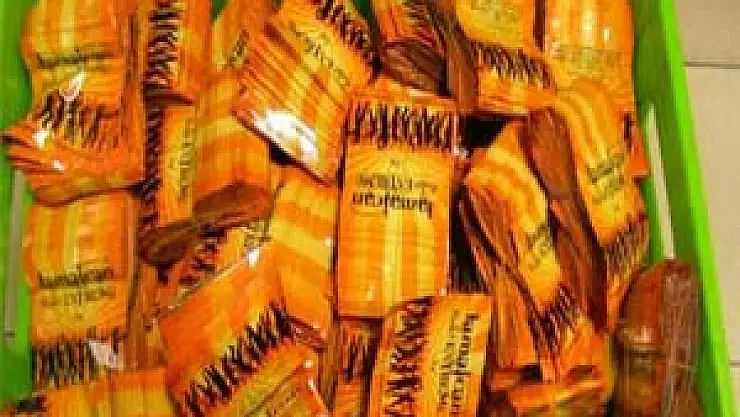 BAKANLIKLARDAN BONZAİ İLE MÜCADELE PLANI