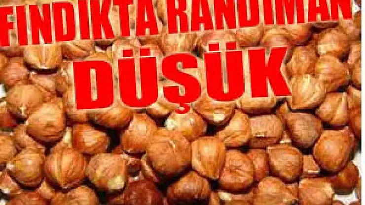 FINDIKTA RANDIMAN DÜŞÜK!