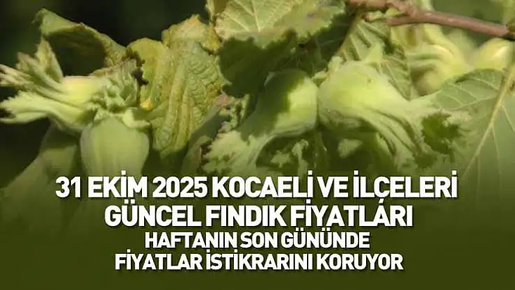31 Ekim 2025 Kocaeli Güncel Fındık Fiyatları: Haftanın Son Gününde Fiyatlar İstikrarını Koruyor