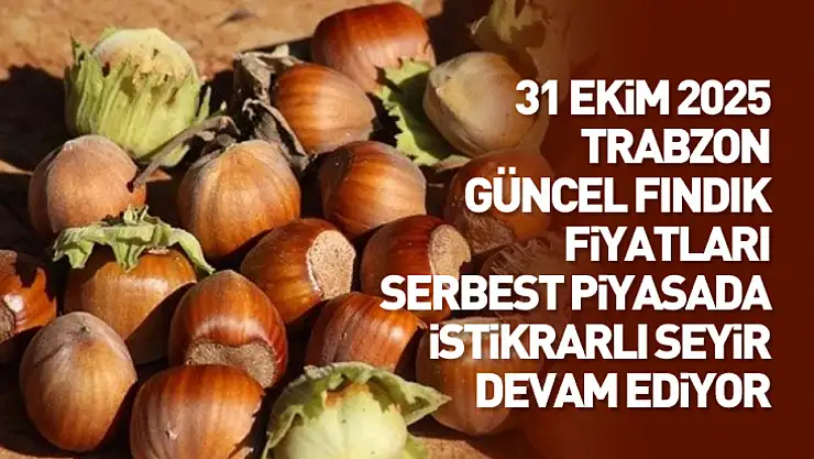 31 Ekim 2025 Trabzon Güncel Fındık Fiyatları: Serbest Piyasada İstikrarlı Seyir Devam Ediyor