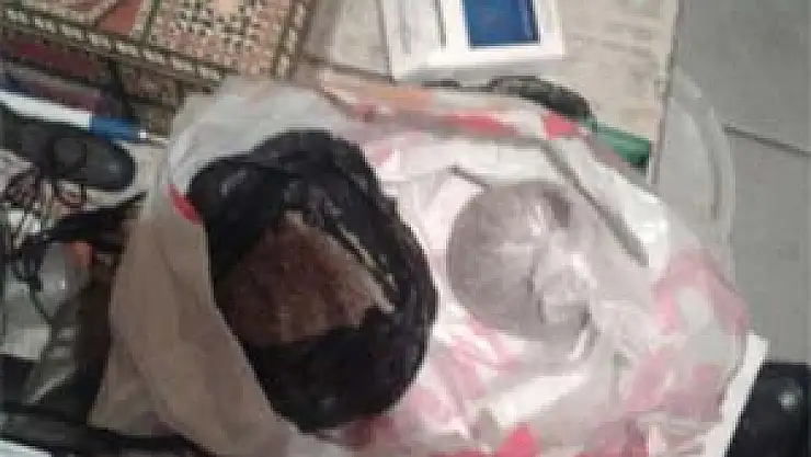 Şebekenin lideri 14 yaşında!