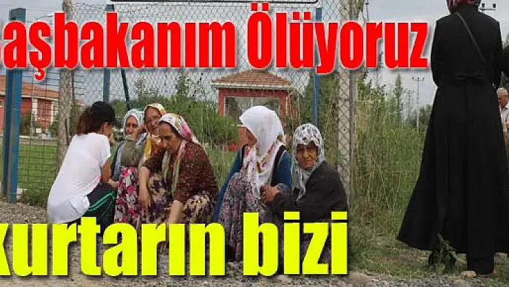 'Başbakanım Ölüyoruz kurtarın bizi'