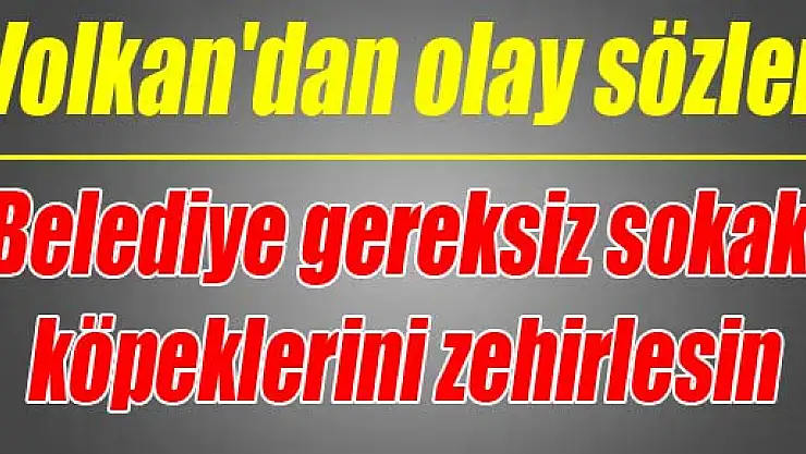 Volkan'dan olay sözler: Belediye gereksiz sokak köpeklerini zehirlesin