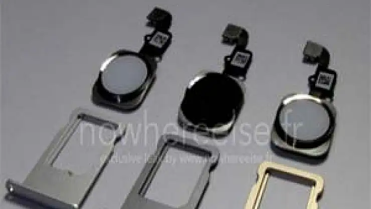 iPhone 6'nın renkleri belli oldu