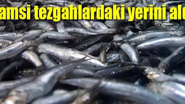 Hamsi tezgahlardaki yerini aldı