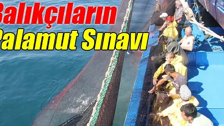 Balıkçıların Palamut Sınavı
