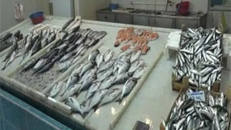 Balıkçılar umduklarını bulamadı