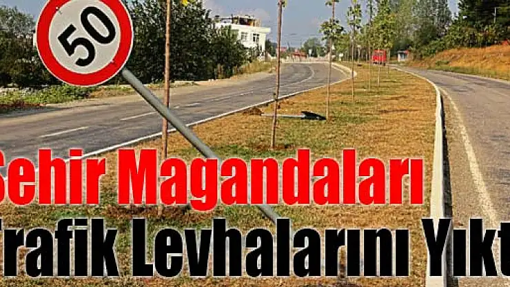 Şehir Magandaları Trafik Levhalarını Yıktı